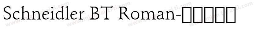 Schneidler BT Roman字体转换